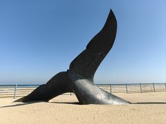 -烟台金沙滩海滨公园