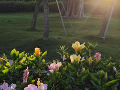 -永太盲人按摩(宝安店)