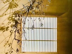 -龙华寺
