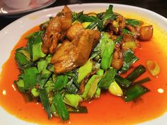 陈麻婆回锅肉-陈麻婆豆腐(旗舰店)