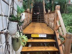 -云涛森林温泉