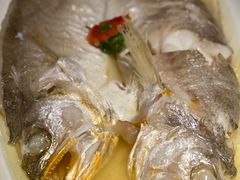 花雕醉黄鱼-寻宝记绍兴菜(鲁迅路店)
