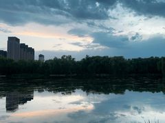 -阿尔丁植物园