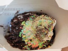 缤纷跳跳糖麦旋风-麦当劳(广州花城汇店)