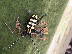 -金堂县云顶石城风景区