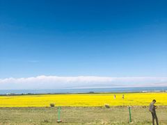 -青海湖国家重点风景名胜区