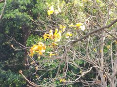 -海珠湖公园