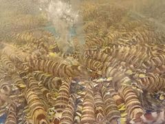 -北塘海鲜·天津菜(大光明桥旗舰店)