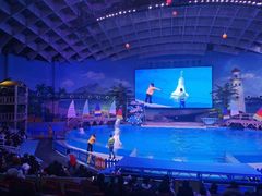 -海合安武汉极地海洋公园