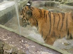 -海南热带野生动植物园