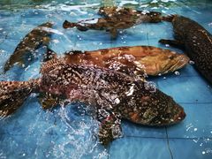 -大天然酒店(军民路店)