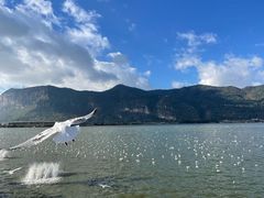 -海埂大坝