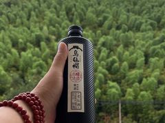 -安吉将军阁土菜馆(将军关漂流店)