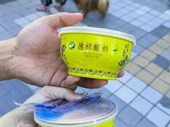 -德禄酸奶(莫家街店)