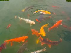 -白马涧龙池景区