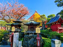 -浅草寺