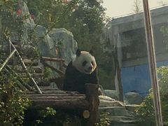 -泉州海丝野生动物世界