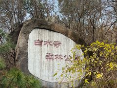 -白水寺森林公园