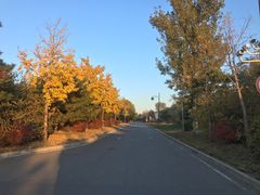 -中家鑫园温泉酒店鑫悦汤泉