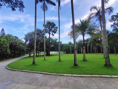 -深圳仙湖植物园
