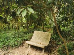 -上海佘山国家森林公园天马山园