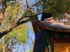-灵隐飞来峰景区
