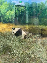 点击看大图 -为为儿童摄影(天津之眼店)