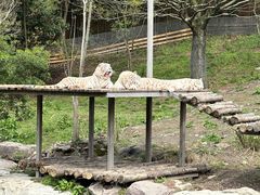 -宁波野生动物园