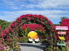 -莲花山公园