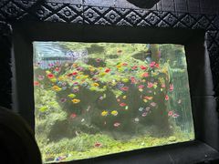 -苏州海洋馆