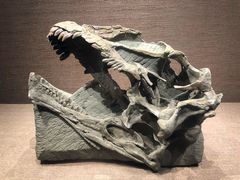 -自贡恐龙博物馆