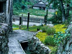 -MOJ coffee(瓯海泽雅水碓坑店)