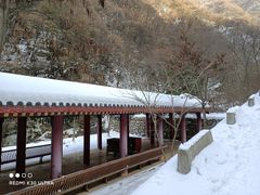 -西安祥峪森林公园