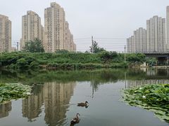 -前关湿地公园