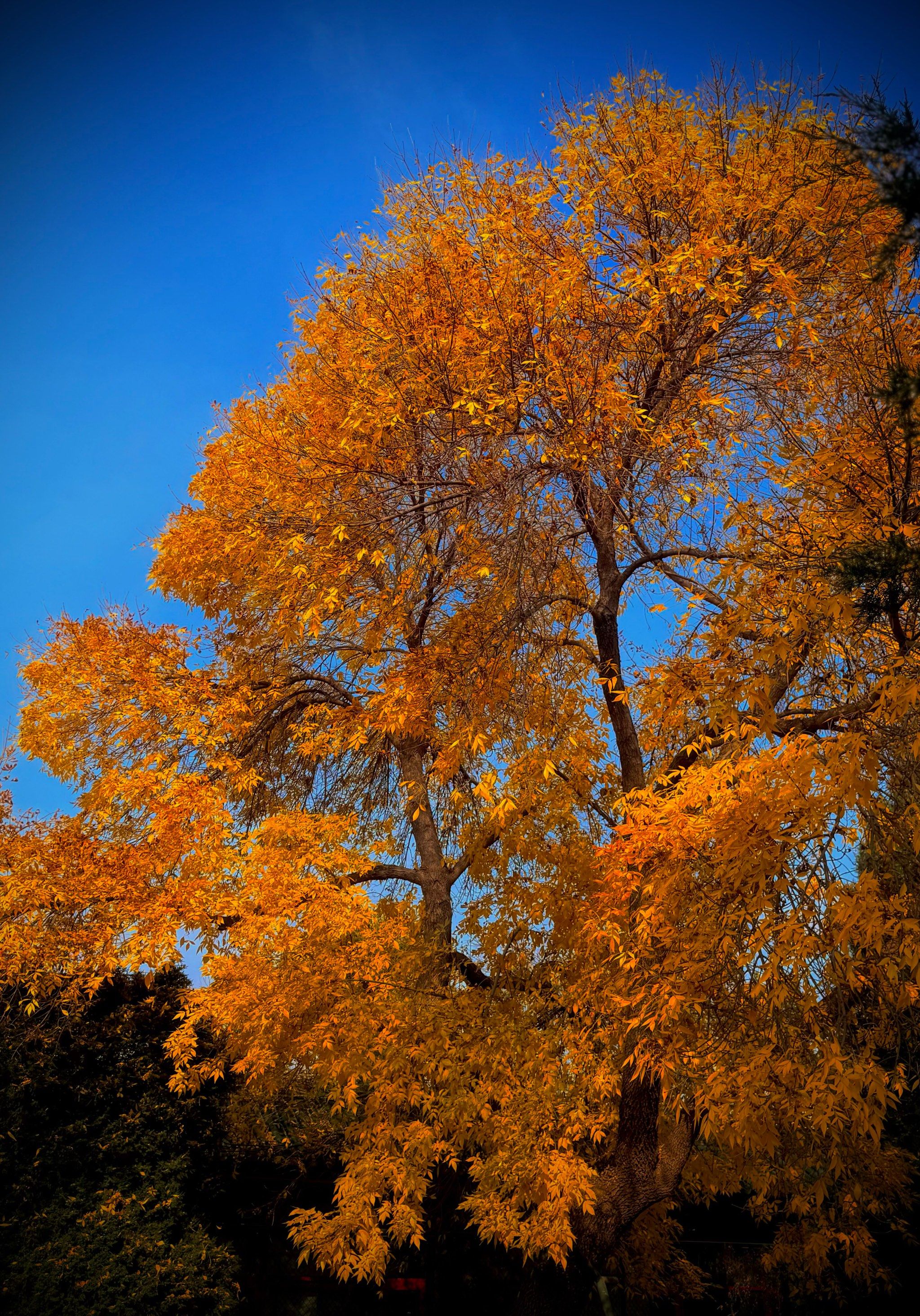 摄影后景构图教程视频下载，一分钟就会