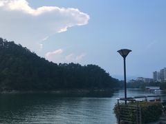 -几荷·恰似故人来(秀水广场店)