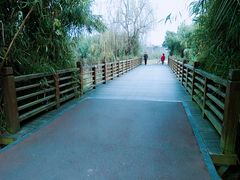 -白鹭湾湿地公园