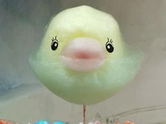 -海合安青岛极地海洋公园