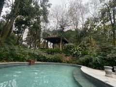-青城道汤池