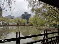-长兴太湖图影湿地文化园