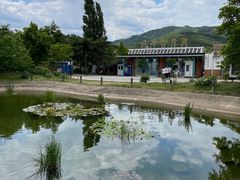 -国家植物园南园