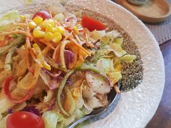 蔬菜沙拉-热血兄弟·炭火烤肉(融侨中心店)