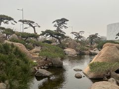 -罗红摄影艺术馆