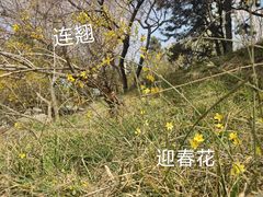 -团结湖公园