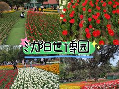 -沈阳植物园