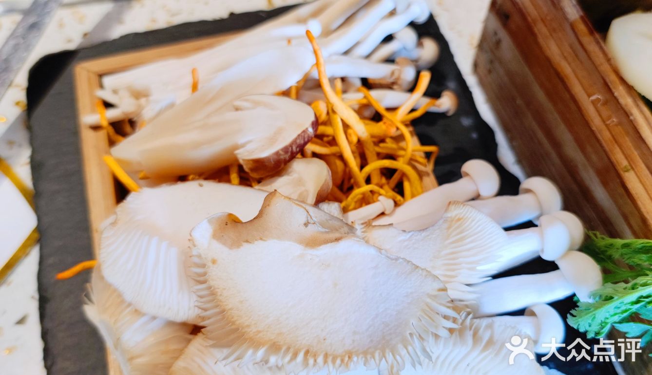 朋友聚会想整个养生局⁉️就餐环境绝了的4000高原