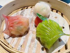 -点都德·毕德寮