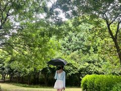 -尚贤河湿地