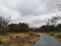 -上海长兴岛郊野公园