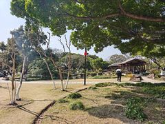 -江心屿景区